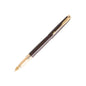 Parker Aster Matte Brown GT Fountain Pen – Medium