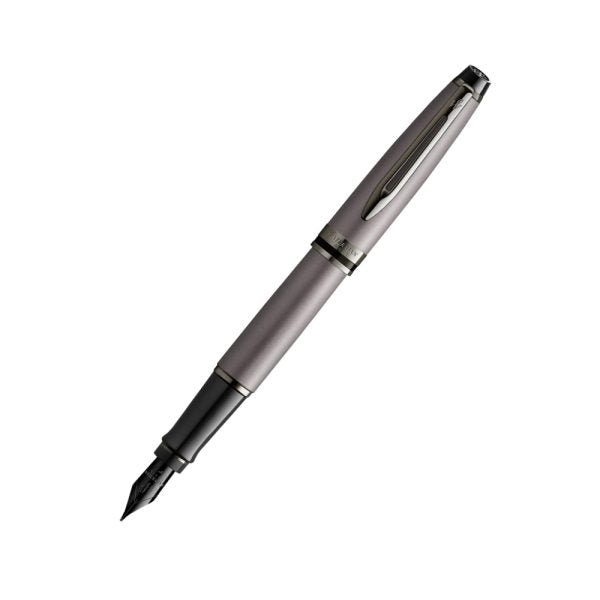 Waterman Expert Metallic Silver with Ruthenium Trim Fountain Pen – Fine Nib